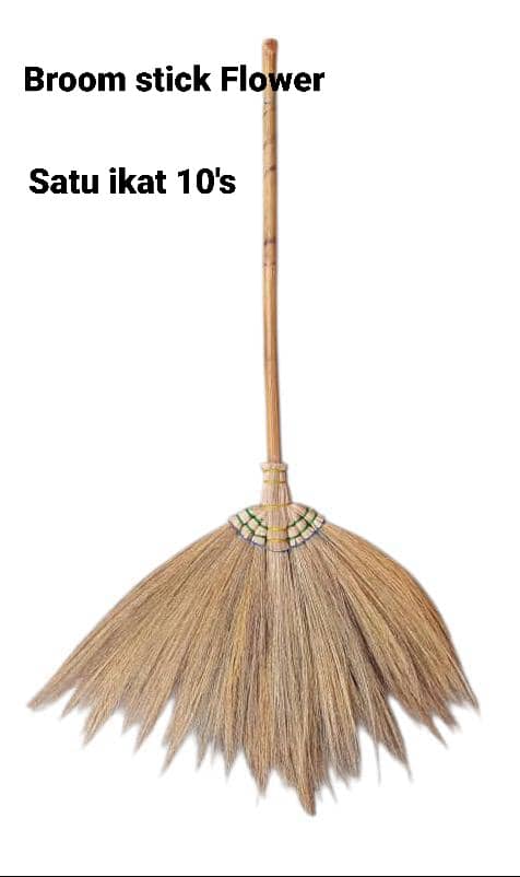 PENYAPU / BROOM STICK FLOWER